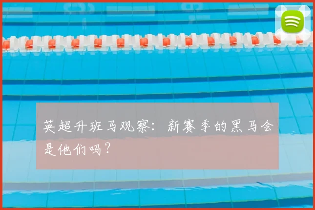 英超升班马观察：新赛季的黑马会是他们吗？
